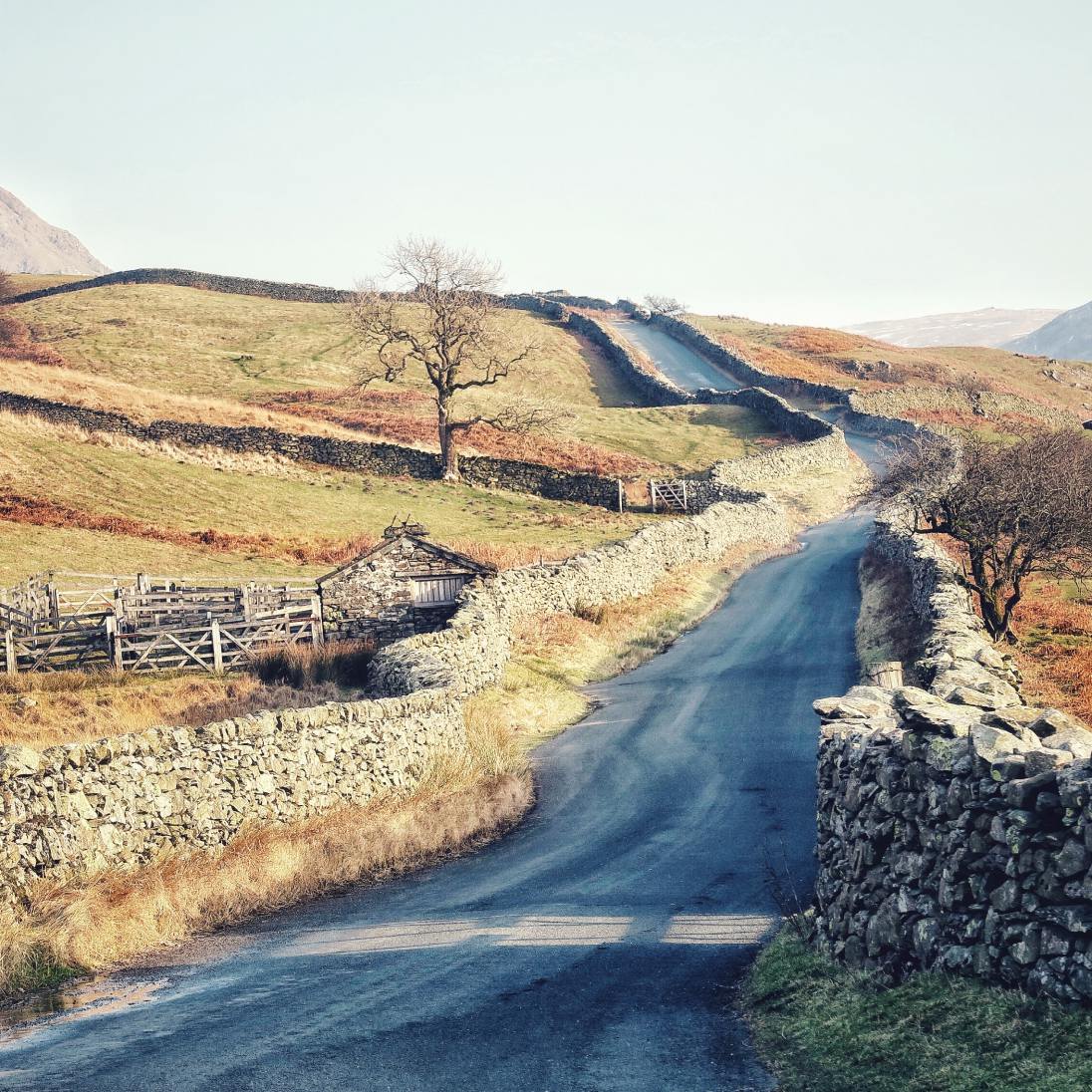 Country road