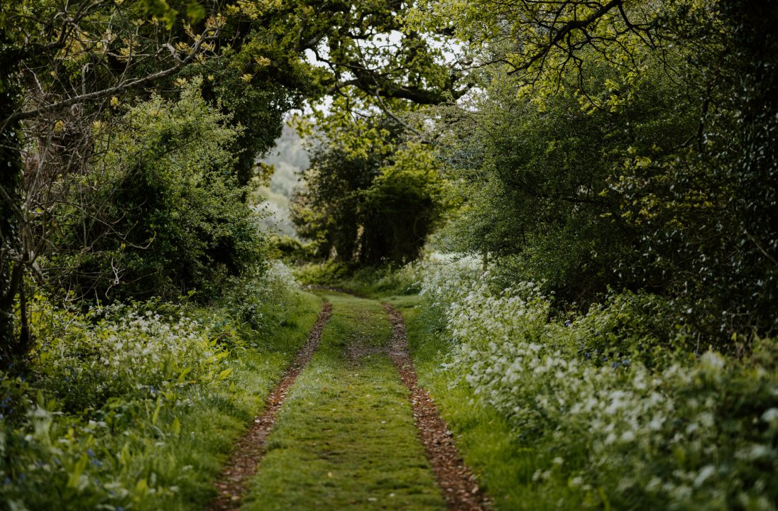 Country path